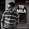 About Tu Mila Song